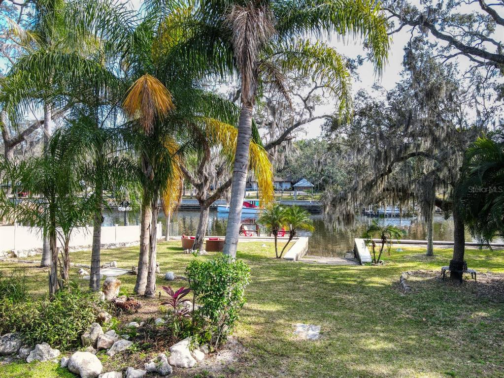 6746 River Road New Port Richey, FL 34652 - Photo 55 of 55 a view of a park with palm trees