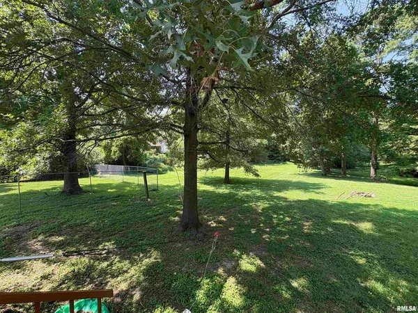 a view of a tree in a yard