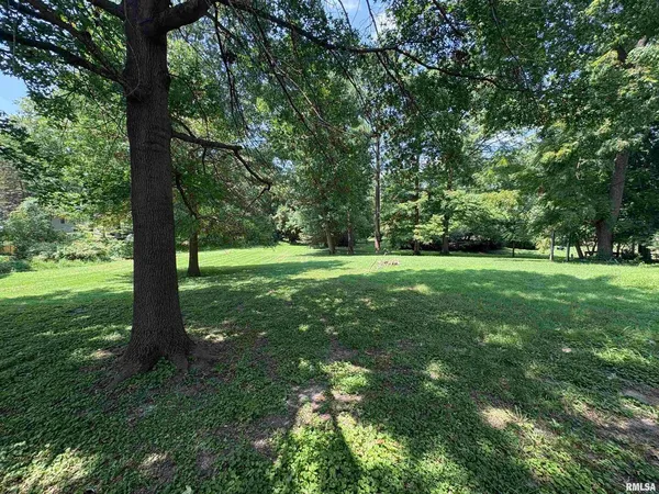 a view of a grassy field with trees in the background