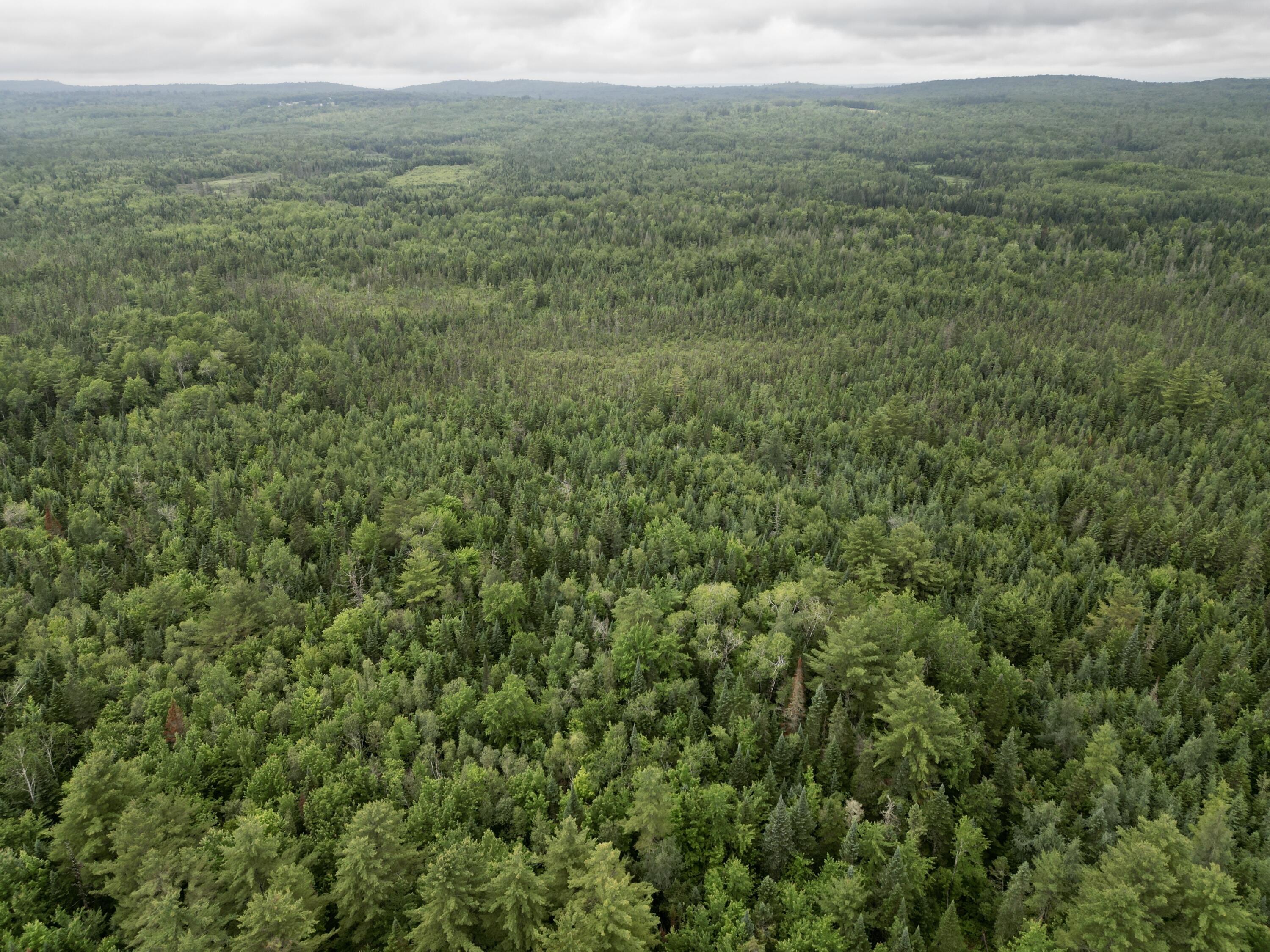 0 River Road Milo, ME 04463 - Photo 17 of 21 dji_fly_20230629_154348_322_168806473572