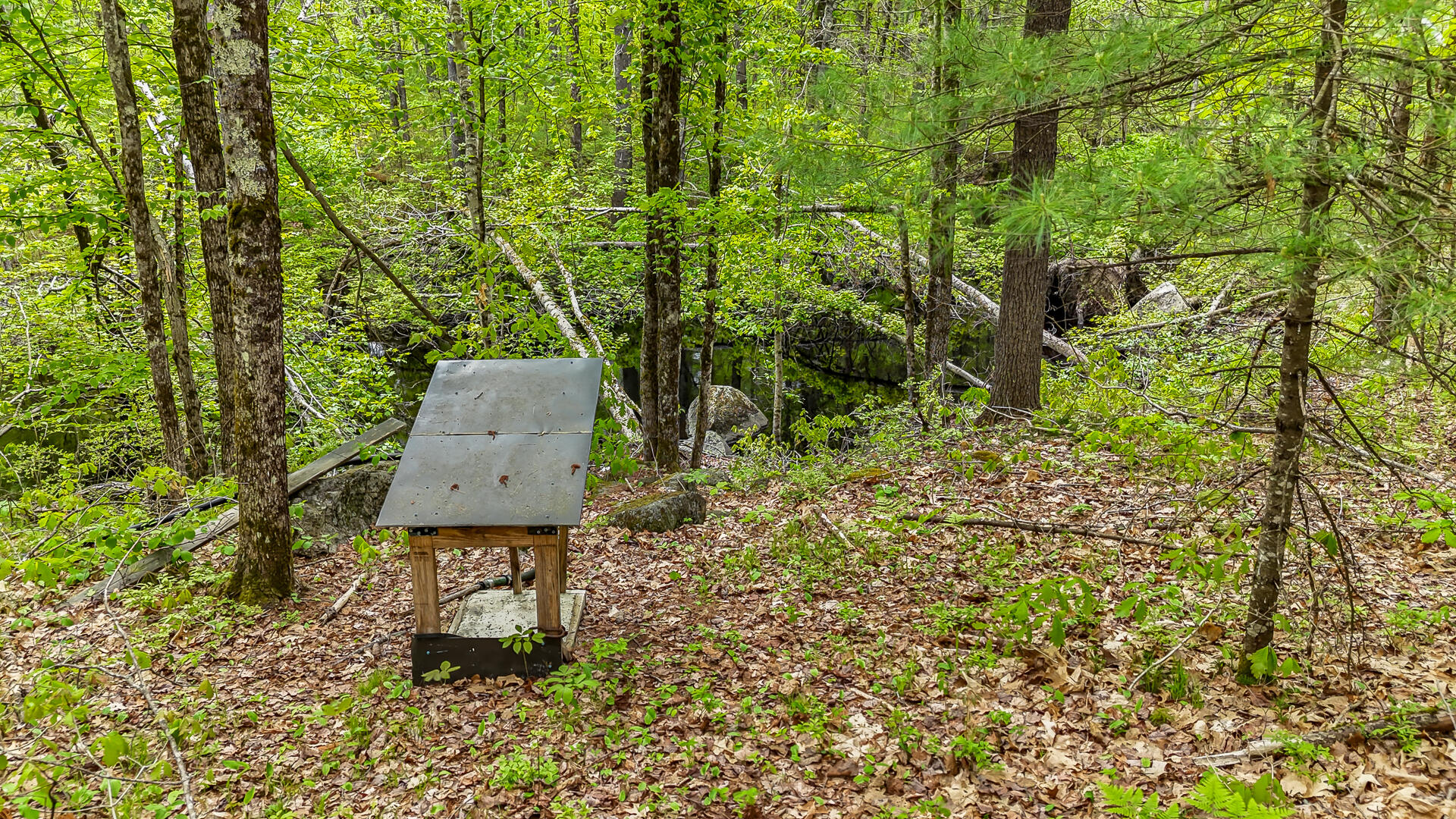 19 Rumery Road Lyman, ME 04002 - Photo 12 of 58 Brook