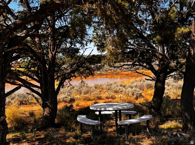 389 North Old Summit Road, Unit 19 Monticello, UT 84535 - Photo 12 of 19 catch pond with cluster of trees