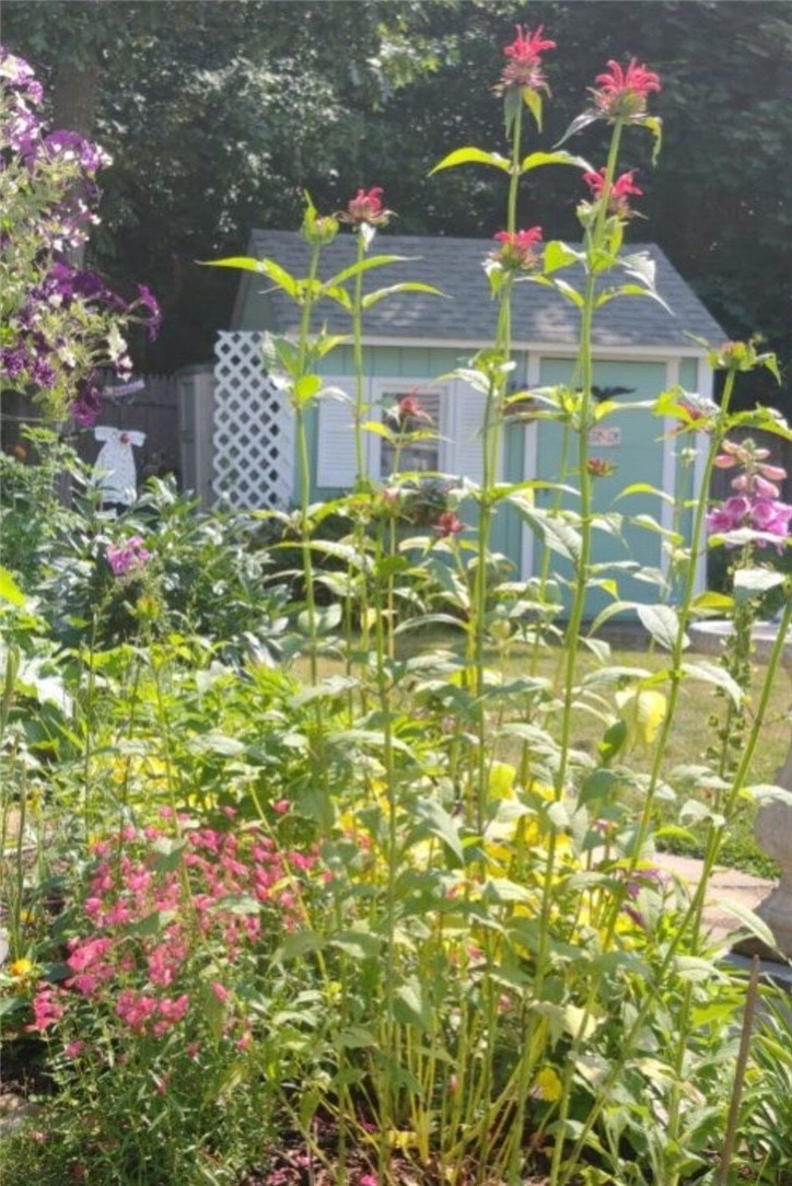 26 Potomac Road Warwick, RI 02888 - Photo 48 of 50