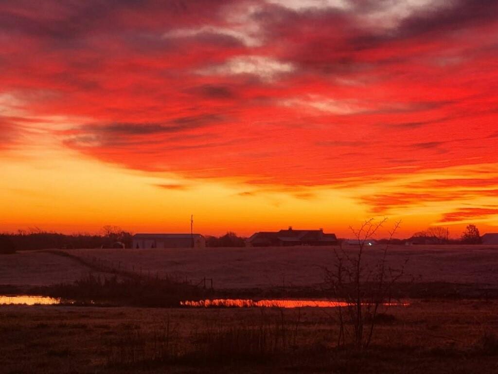 4411 Fm 751 Wills Point Wills Point, TX 75169 - Photo 1 of 40 Sunrise, no filter