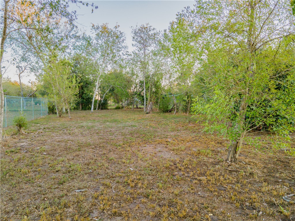 1405 West Springer Street Beeville, TX 78102 - Photo 19 of 20 a view of a field with trees in the background