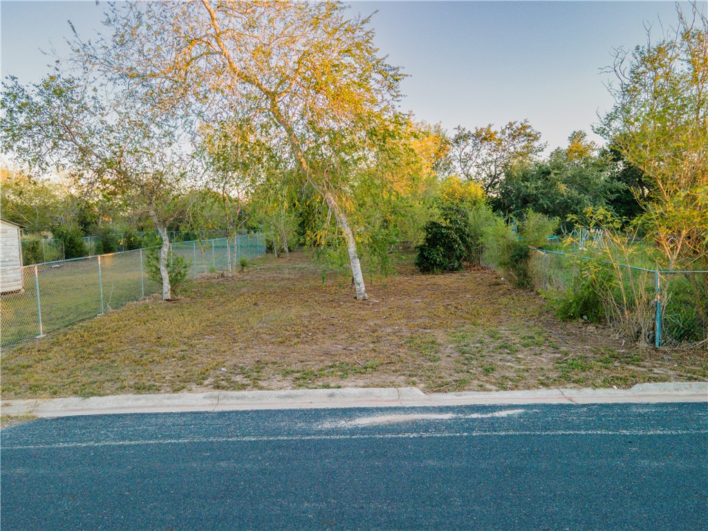 1405 West Springer Street Beeville, TX 78102 - Photo 5 of 20 a backyard of a house with lots of green space