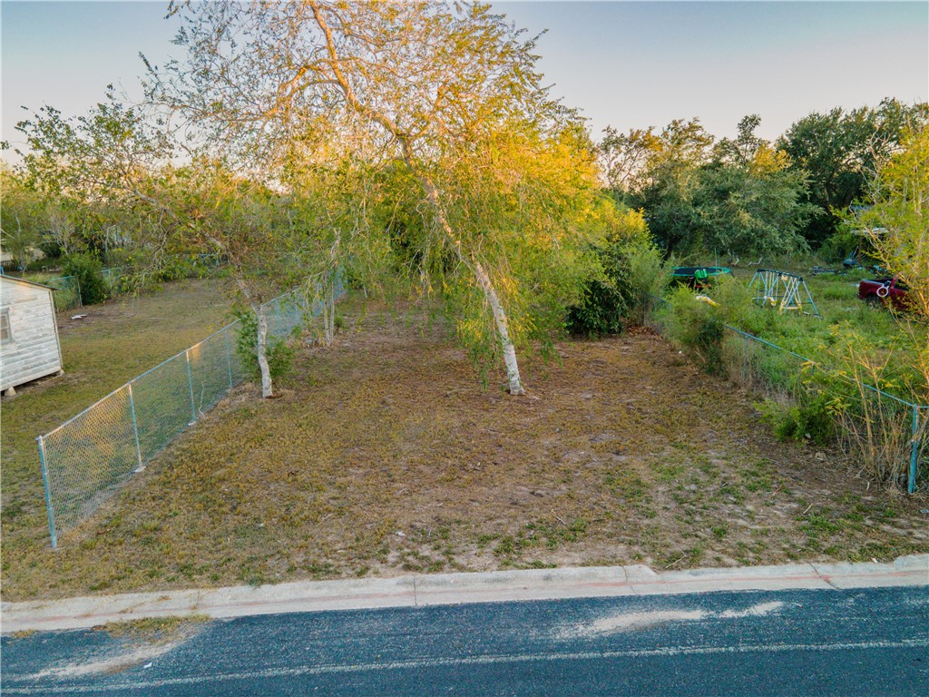 1405 West Springer Street Beeville, TX 78102 - Photo 7 of 20 a view of a yard with trees