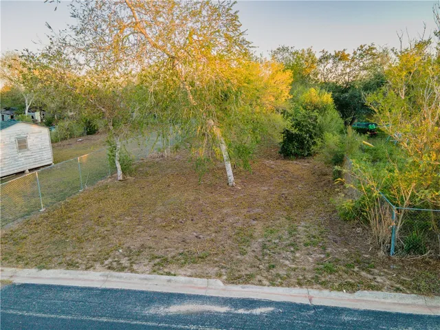 a view of backyard from a window