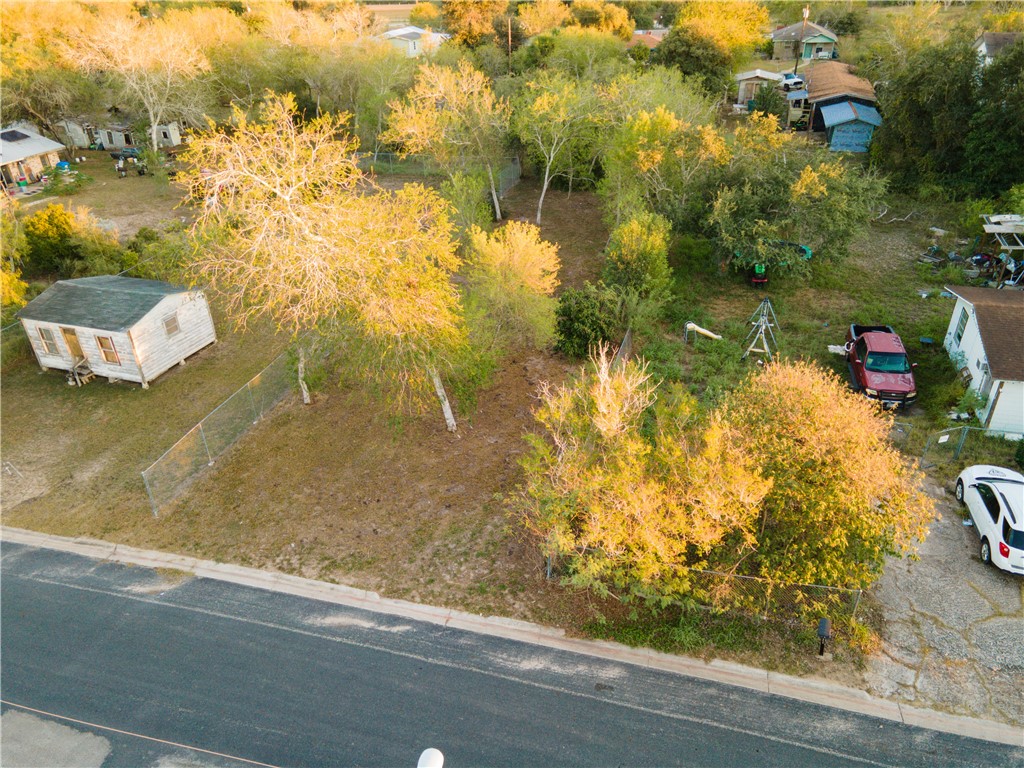 1405 West Springer Street Beeville, TX 78102 - Photo 9 of 20