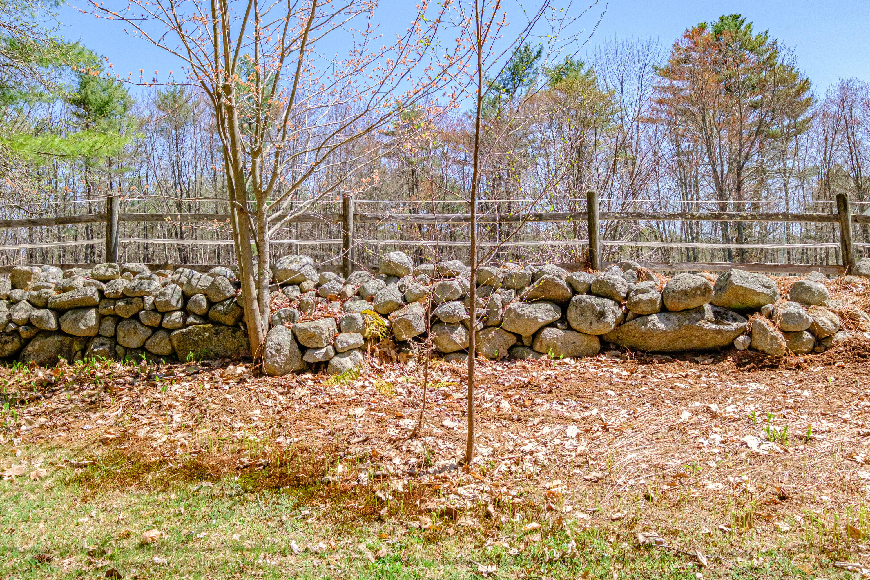 277 Rayville Road Otisfield, ME 04270 - Photo 5 of 95 20250501gp-61004