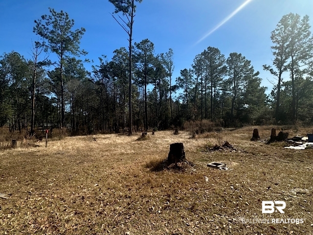 17245 County Road 87 Elberta, AL 36530 - Photo 8 of 11