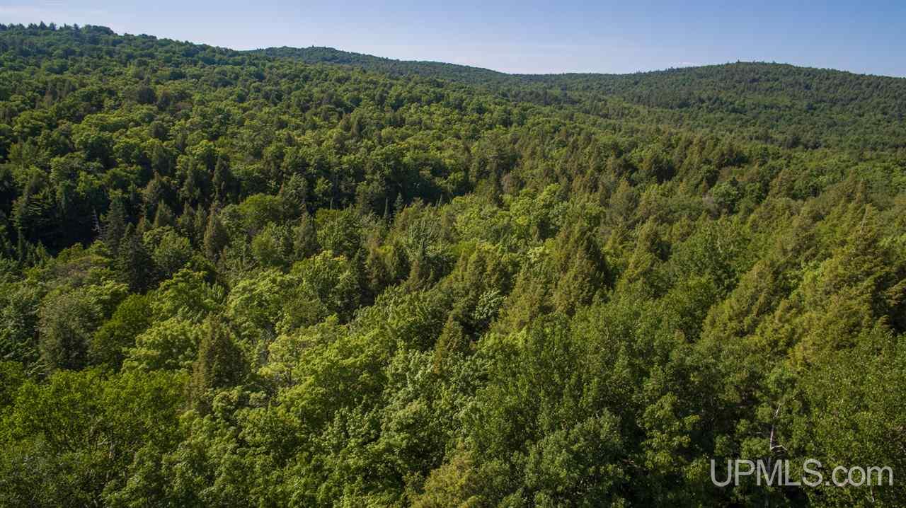 N2025 Co Road Marquette, MI 49855 - Photo 21 of 48