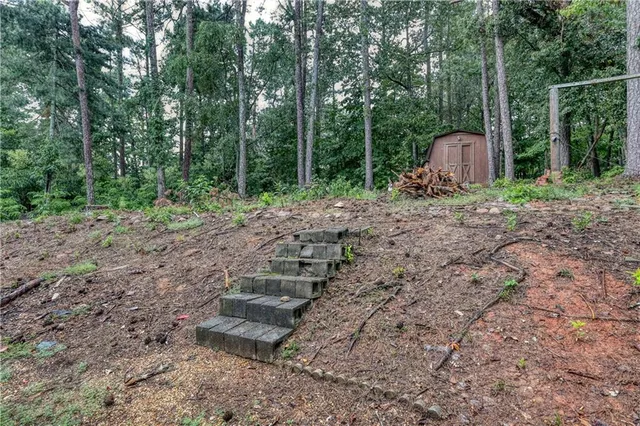a view of a backyard with trees