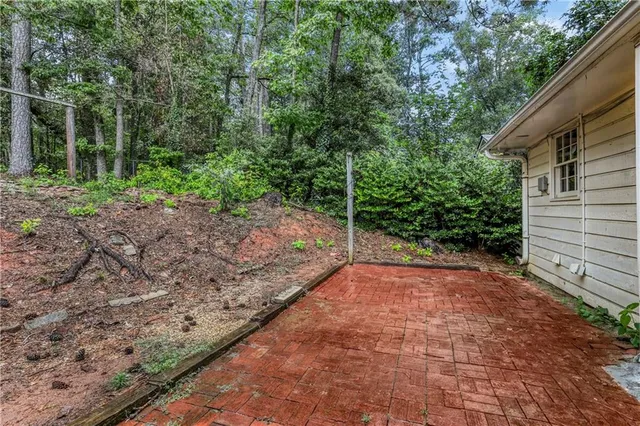 a view of a yard with plants and trees