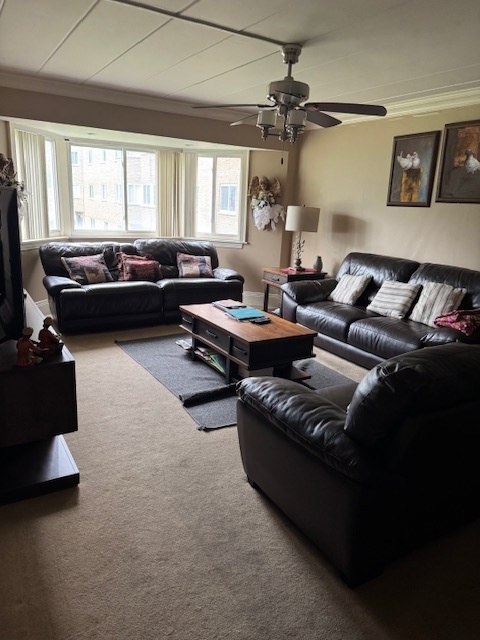 300 South Roselle Road, Unit 207 Schaumburg, IL 60193 - Photo 4 of 13 a living room with furniture and a large window