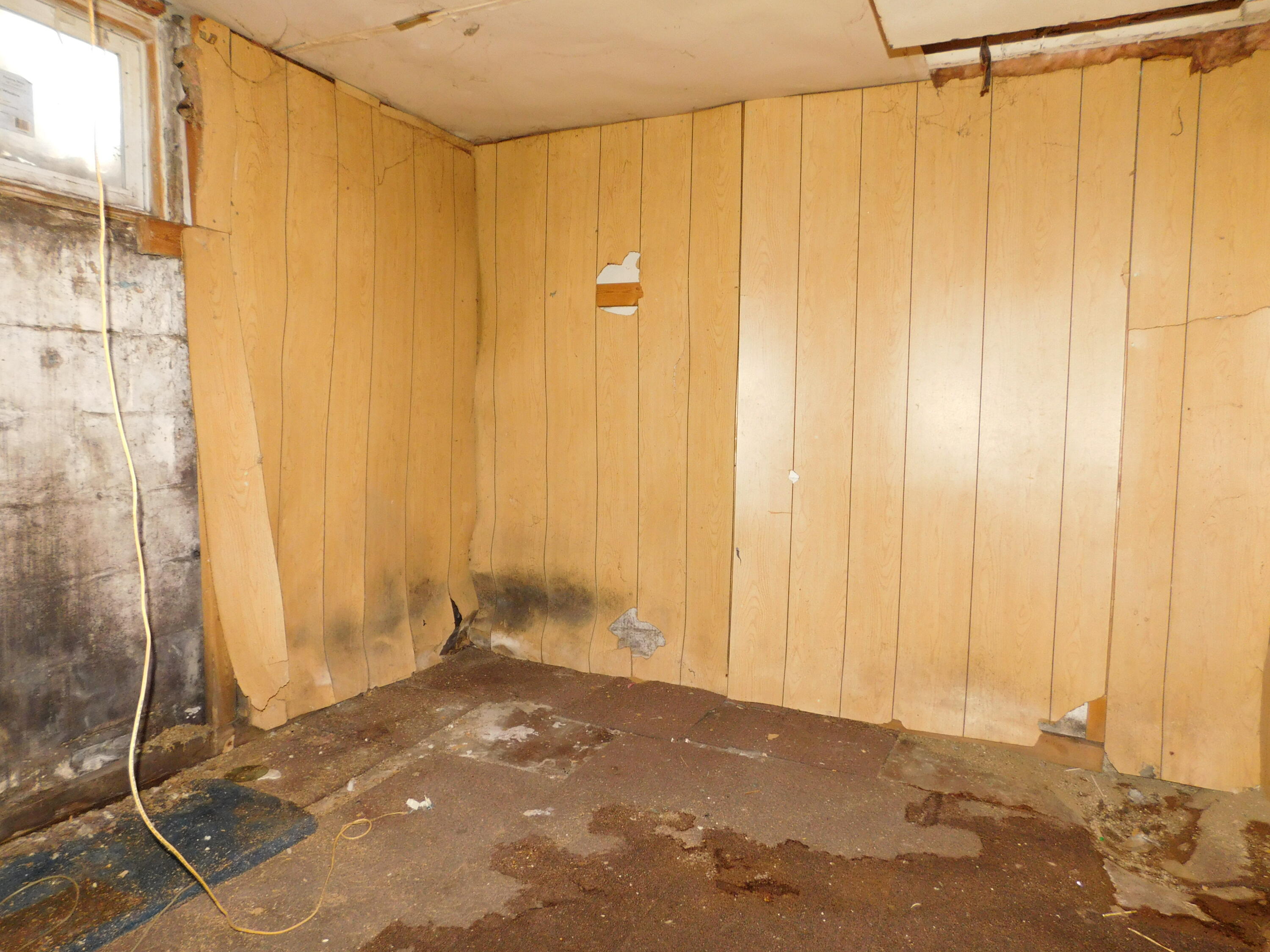 617 Dwight Avenue Kalamazoo, MI 49048 - Photo 17 of 22 DSCN8260