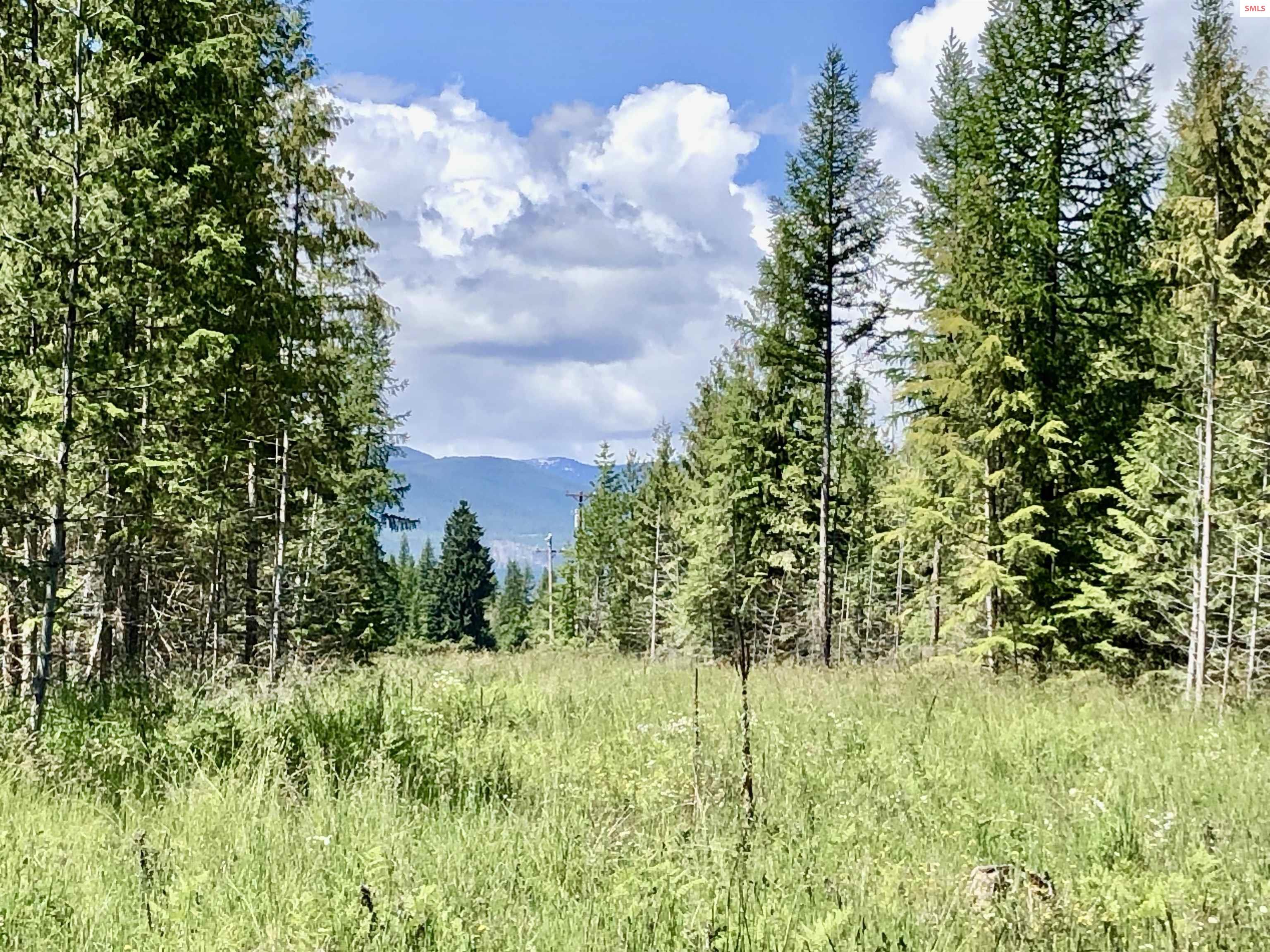 4 Lost Mile Road Naples, ID 83847 - Photo 14 of 37