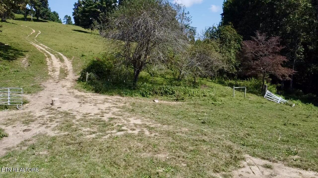 0 Boones Path Road Rose Hill, VA 24281 - Photo 11 of 20 image0