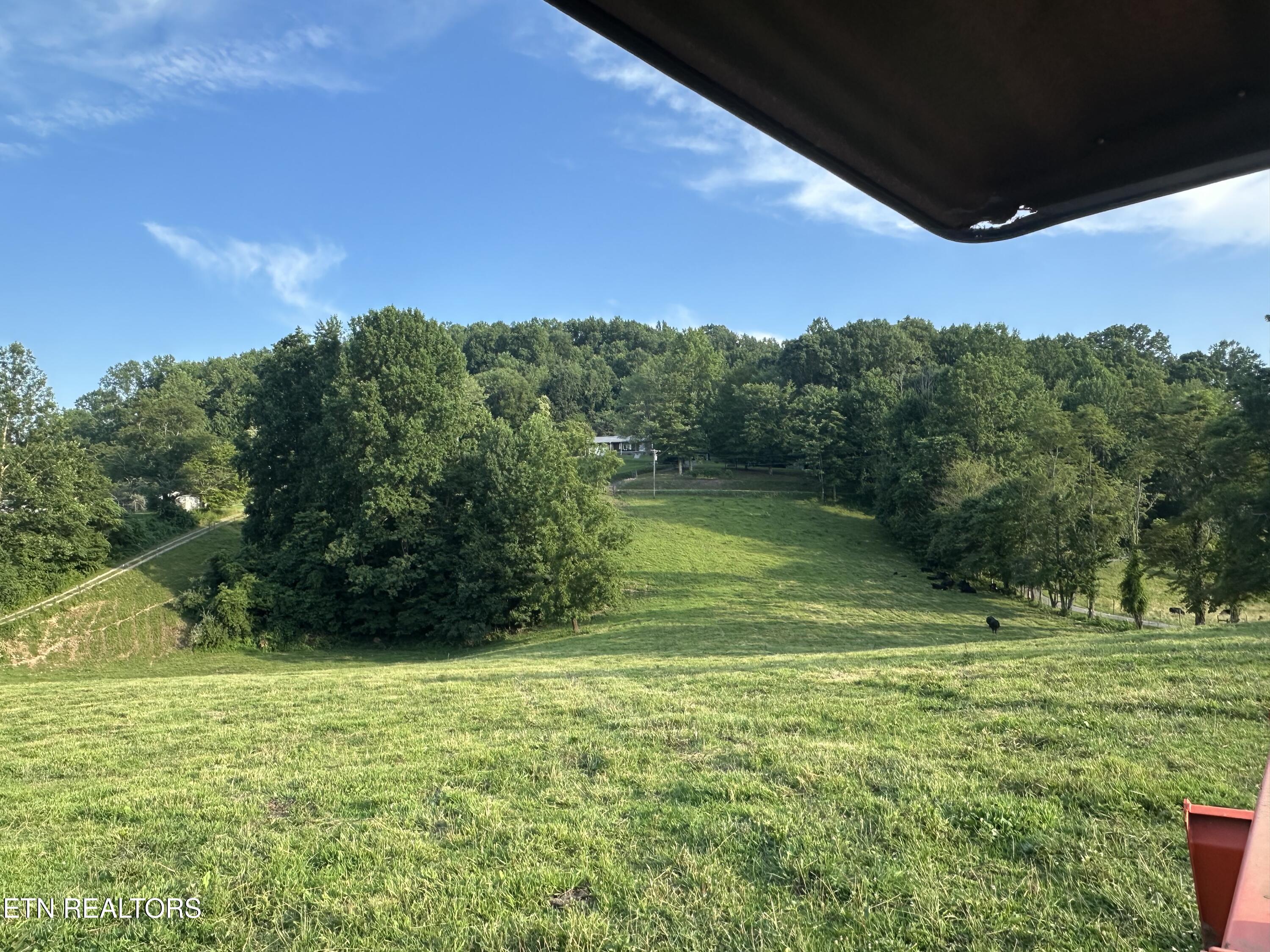 0 Boones Path Road Rose Hill, VA 24281 - Photo 20 of 20 IMG_6580