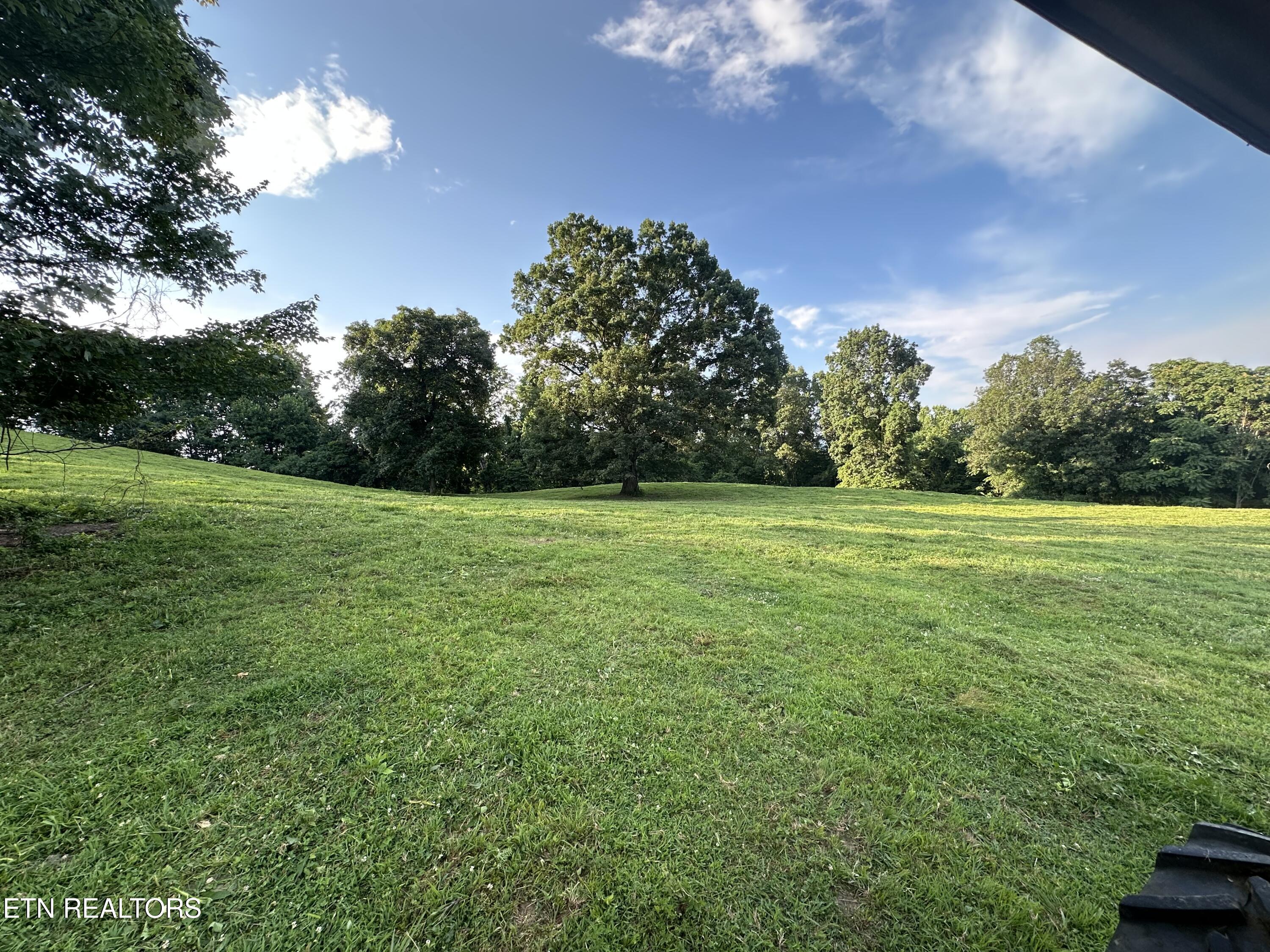 0 Boones Path Road Rose Hill, VA 24281 - Photo 2 of 20 IMG_6566