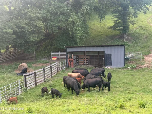 $149,900 | 0 Boones Path Road, Rose Hill, VA 24281