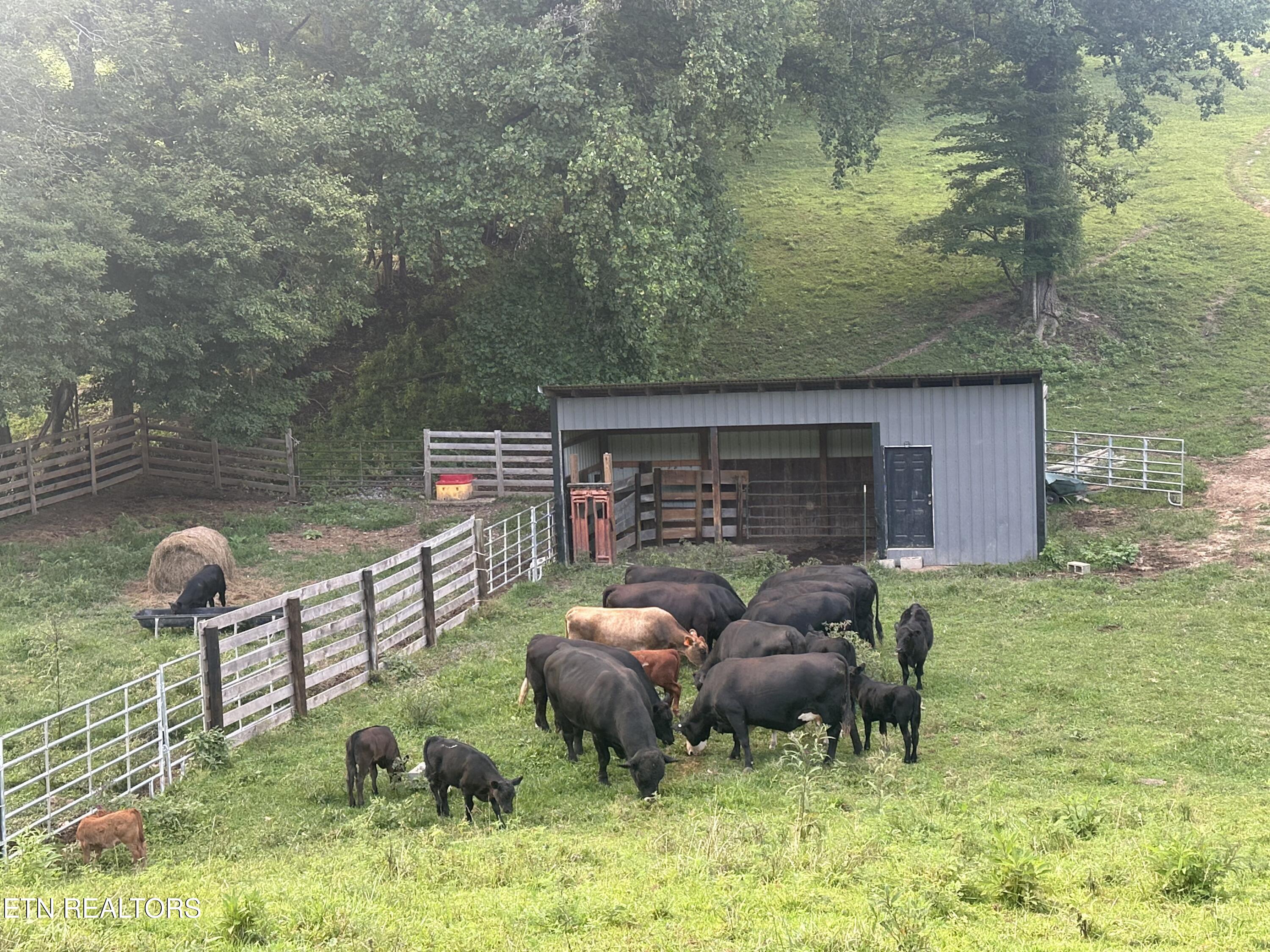 0 Boones Path Road Rose Hill, VA 24281 - Photo 3 of 20 IMG_6712