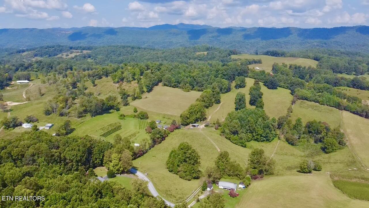 0 Boones Path Road Rose Hill, VA 24281 - Photo 4 of 20 image4