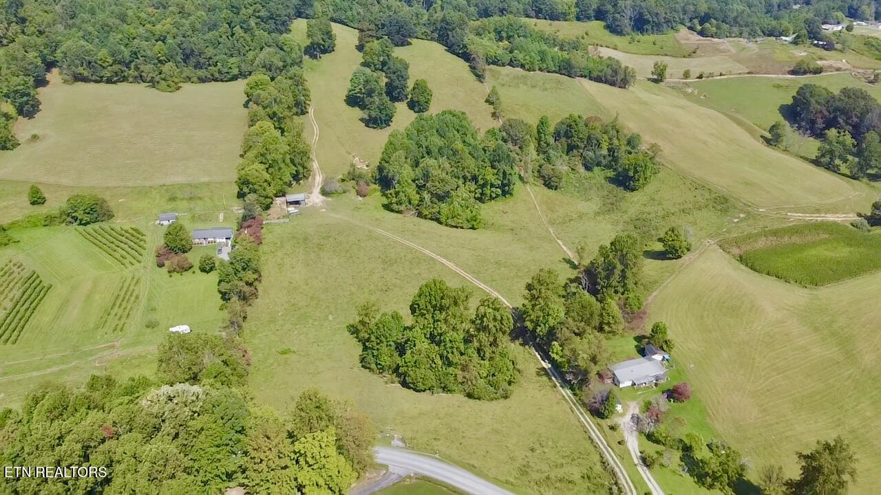 0 Boones Path Road Rose Hill, VA 24281 - Photo 5 of 20 image0
