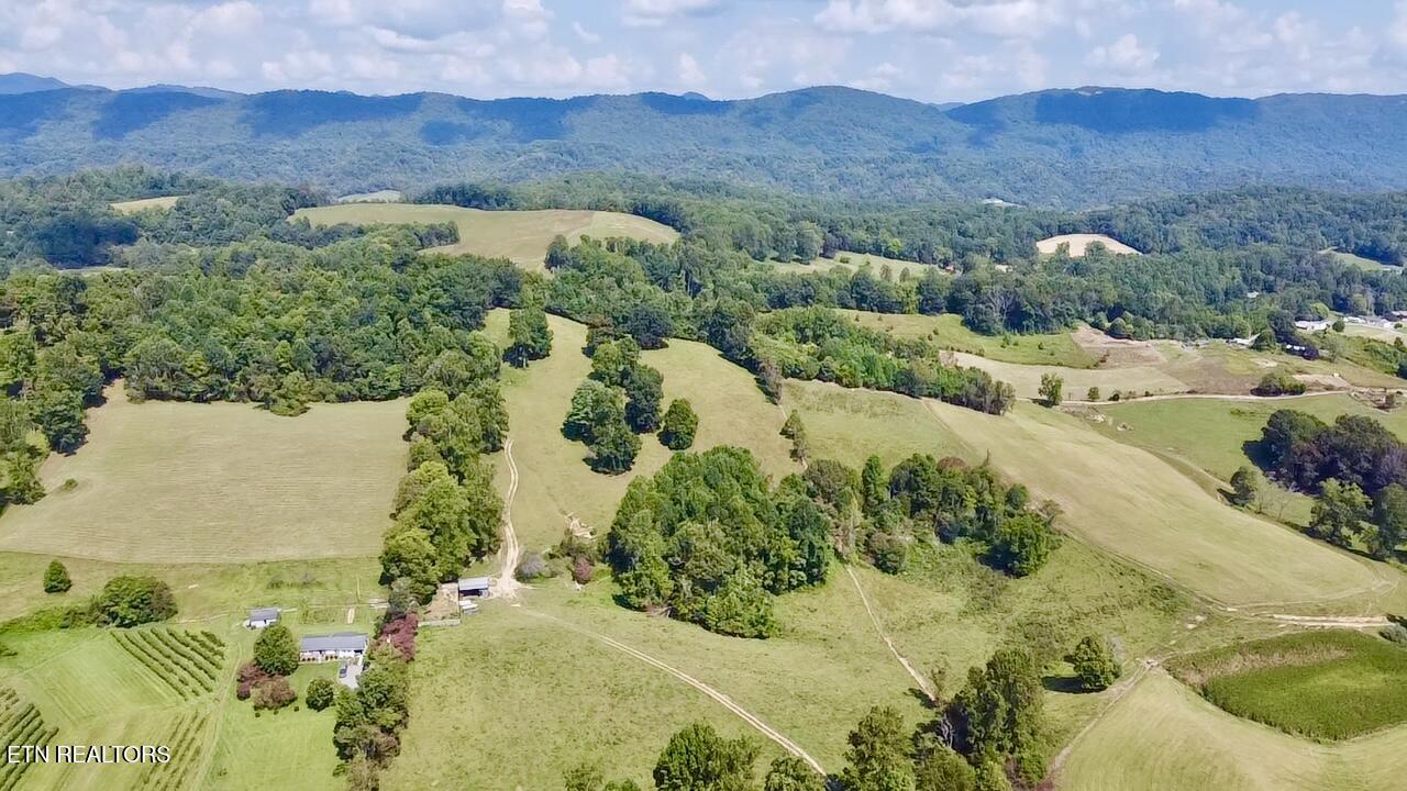 0 Boones Path Road Rose Hill, VA 24281 - Photo 6 of 20 image4