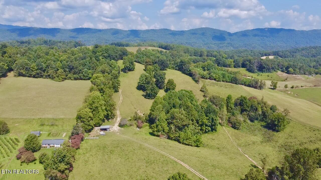 0 Boones Path Road Rose Hill, VA 24281 - Photo 7 of 20 image2