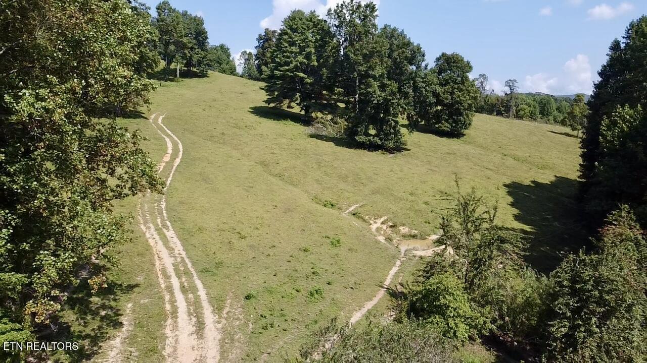0 Boones Path Road Rose Hill, VA 24281 - Photo 10 of 20 image3