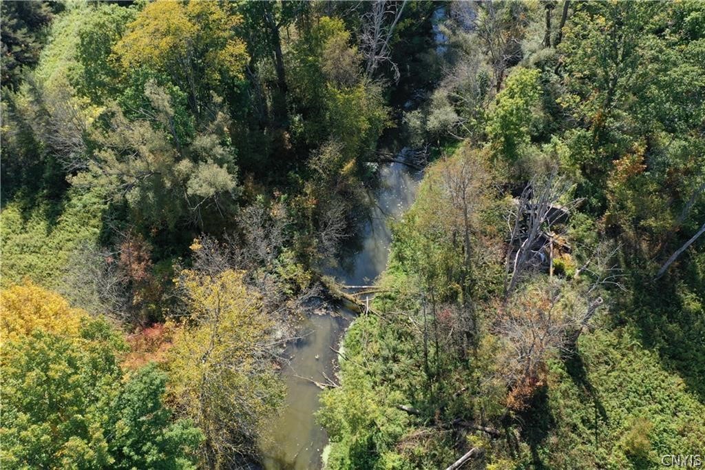 0 Bumpy Bridge Road North Prattsburgh, NY 14873 - Photo 7 of 7