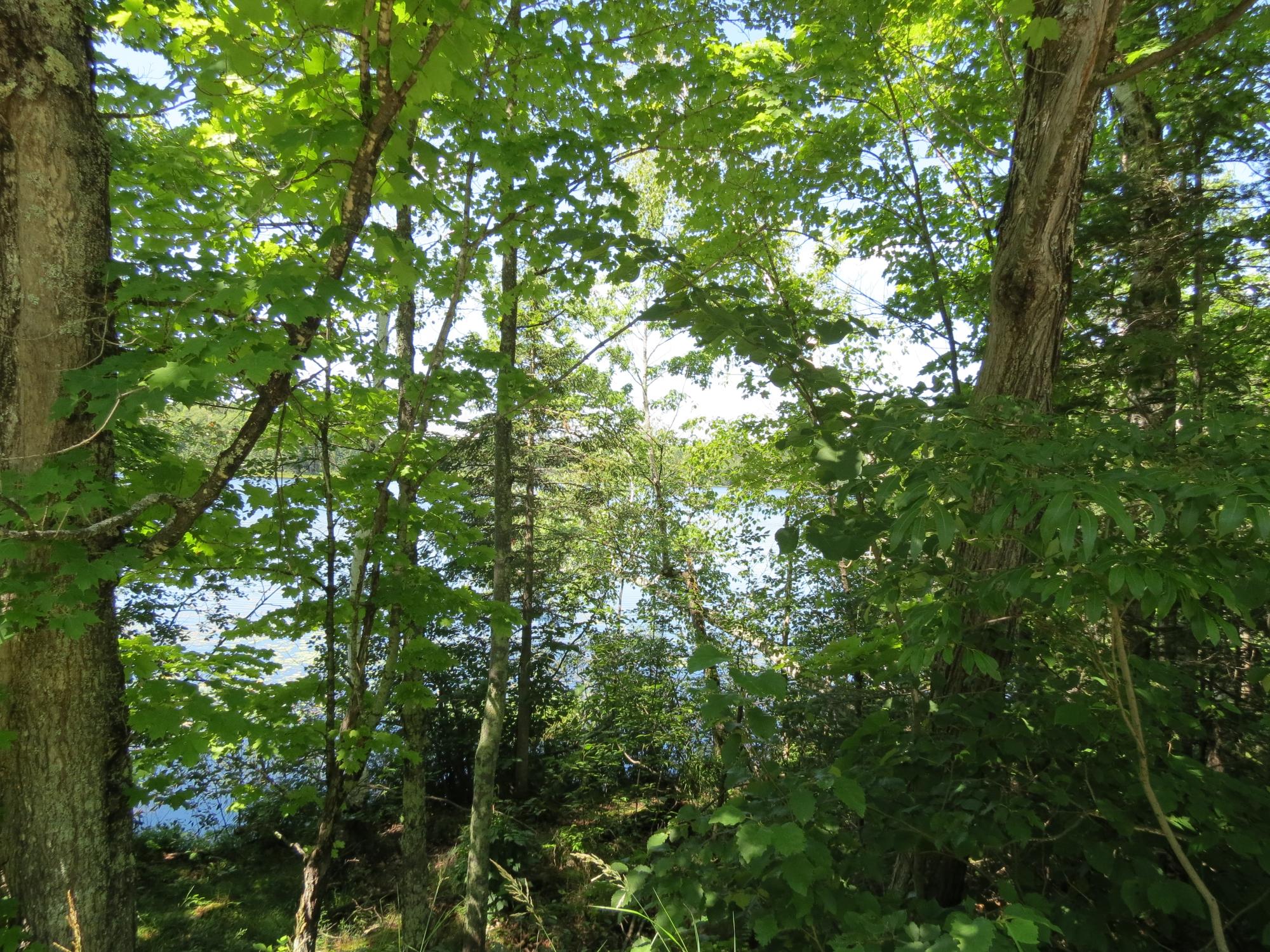13149 Papoose Lake Road Manitowish Waters, WI 54545 - Photo 28 of 64 Gallery Image 28