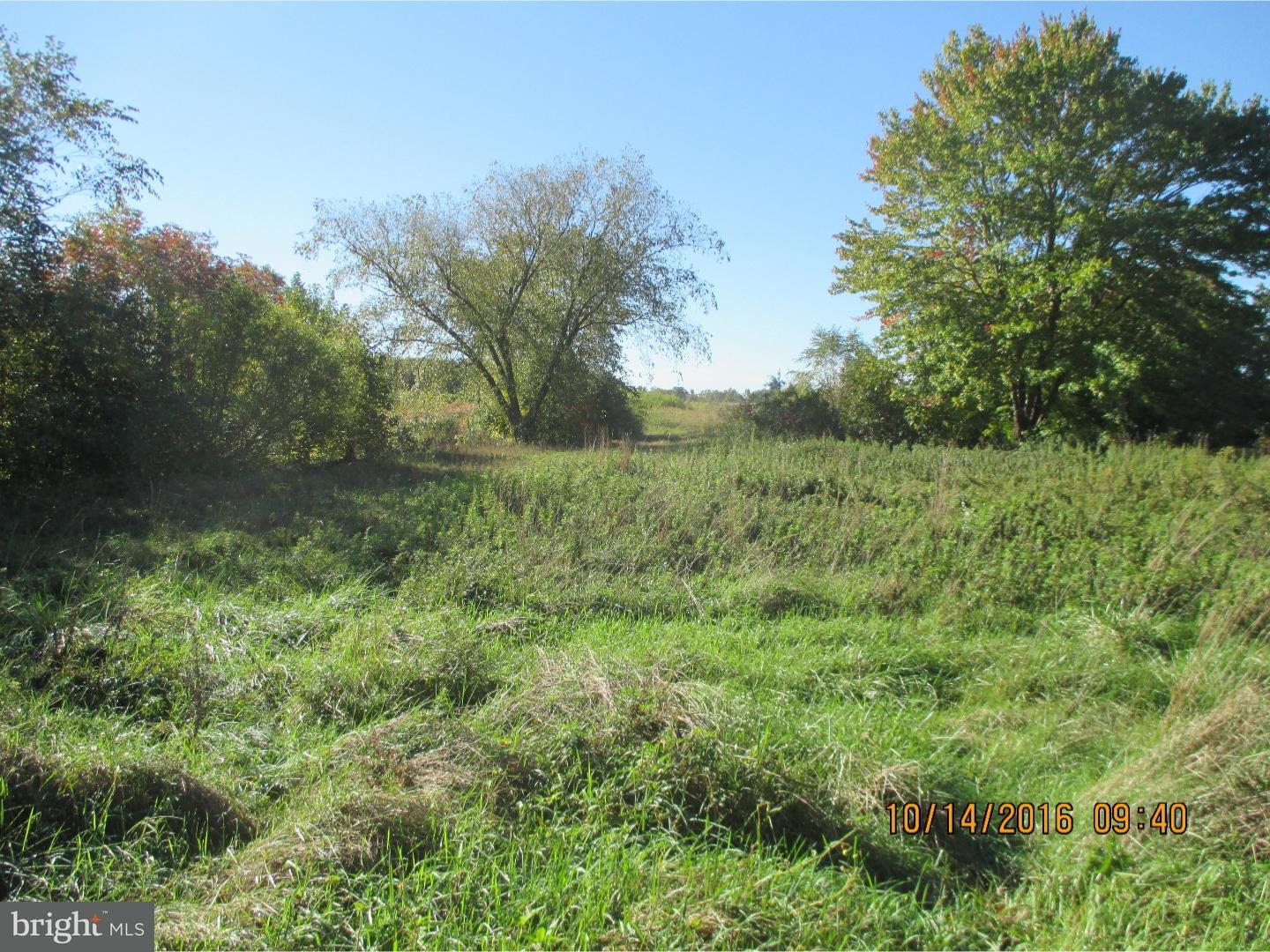 732 West Quillytown Road Carneys Point, NJ 08069 - Photo 3 of 4 Gallery Image 3