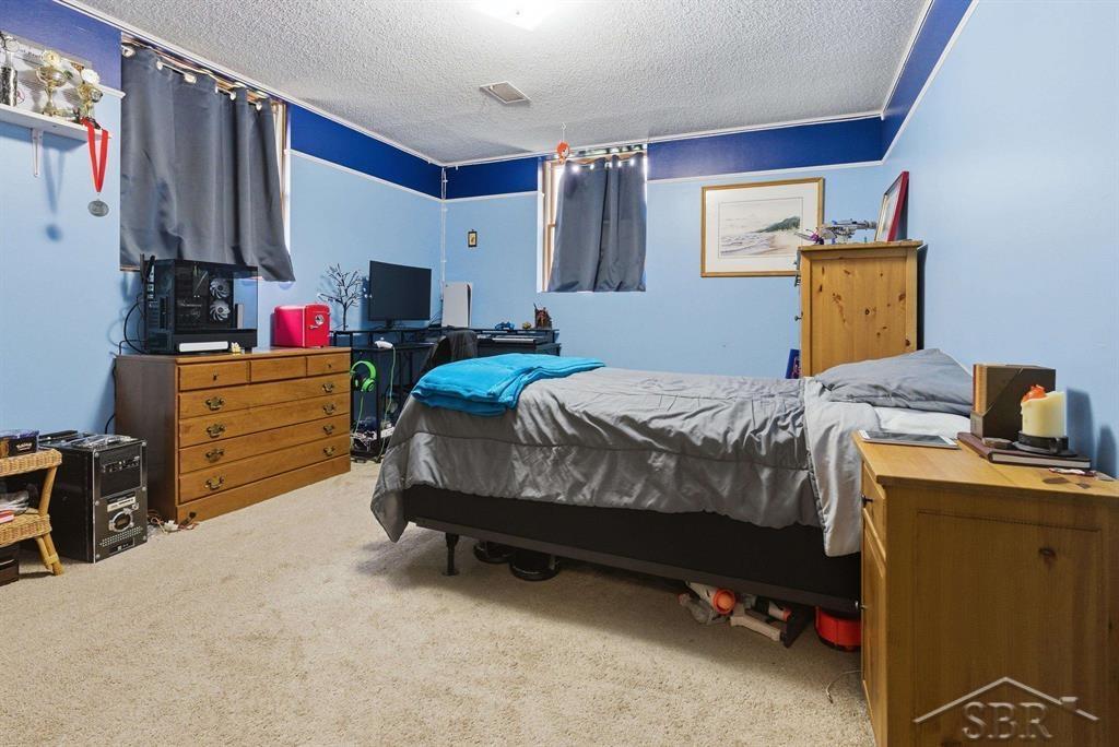 4469 East Millbrook Road Mount Pleasant, MI 48858 - Photo 22 of 43