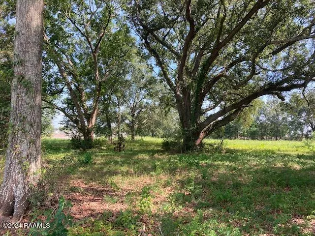 $100,000 | 2 Rena Road, Eunice, LA 70535