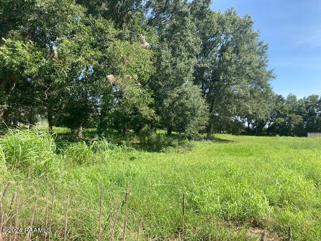 2 Rena Road Eunice, LA 70535 - Photo 5 of 5 IMG_2406