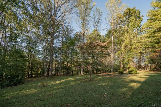 a view of field with trees