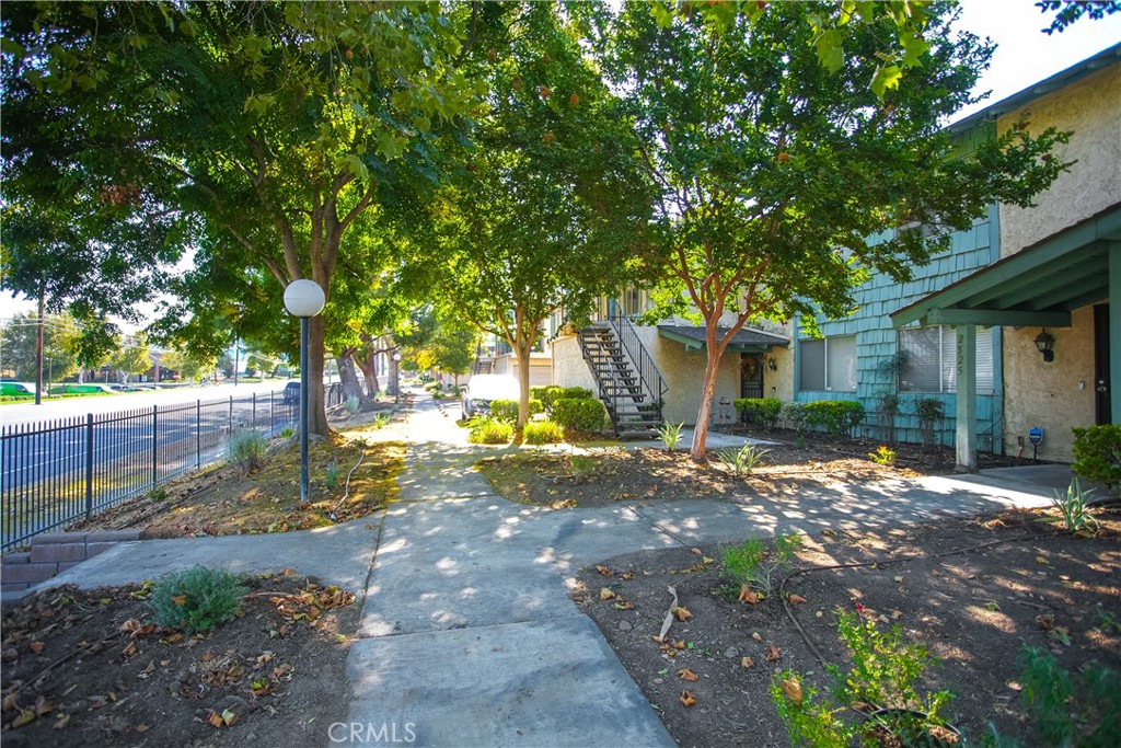 2321 Gonzaga Lane Riverside, CA 92507 - Photo 21 of 24 a view of a yard with plants and a large tree