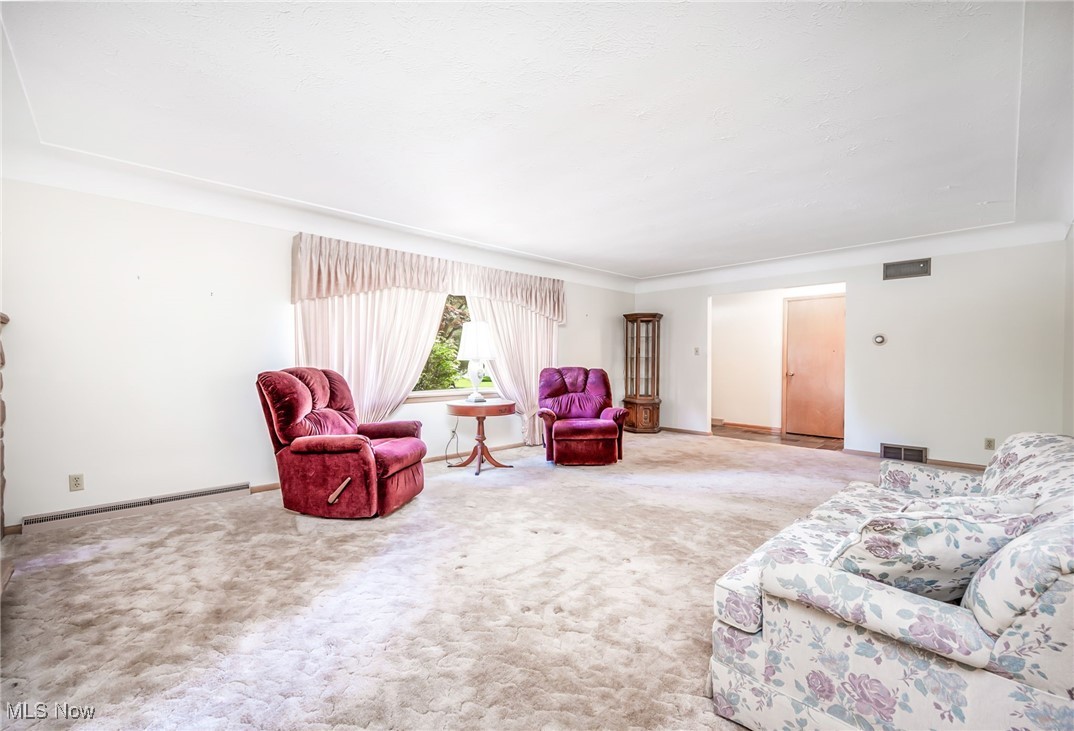 126 South Rhodes Avenue Niles, OH 44446 - Photo 5 of 23 Carpeted living room with a baseboard radiator