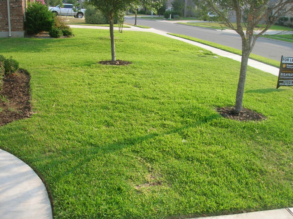 9504 Castle Pines Drive Austin, TX 78717 - Photo 9 of 12 a backyard of a house with lots of green space