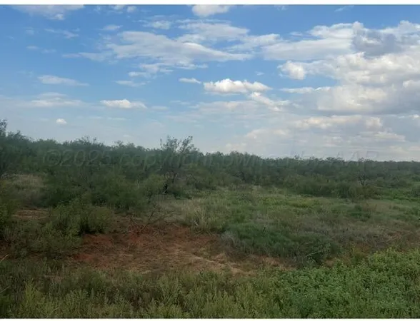 a view of a field of grass and trees