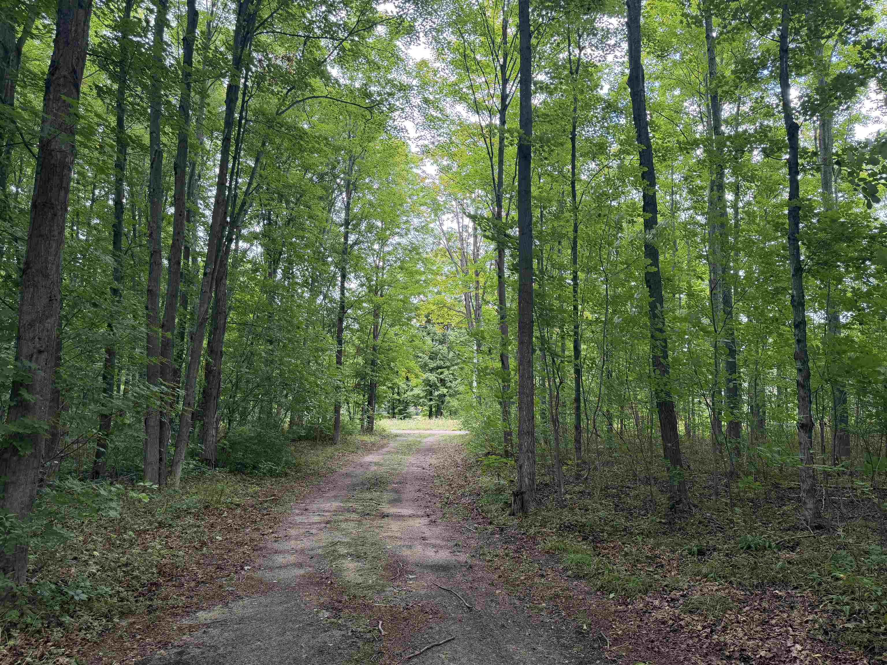 272 South Haze Road Beulah, MI 49617 - Photo 8 of 30 1949694-5bc7792d-c6db-4926-9a85-c12d5ebb8713.JPG