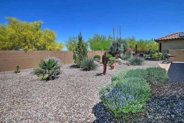 a view of a yard with plants and a bench