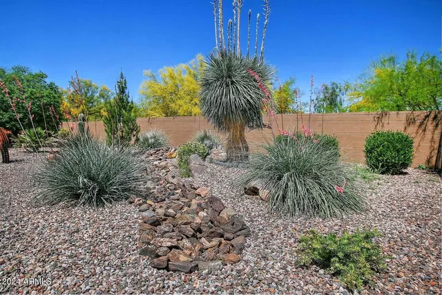 a couple of palm trees sitting in a backyard