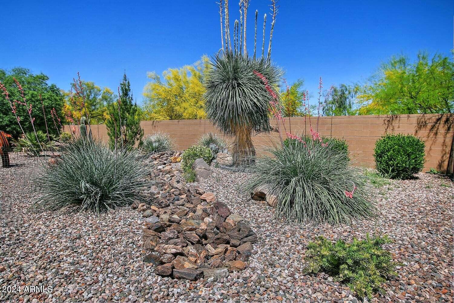 4394 North Hummingbird Drive Florence, AZ 85132 - Photo 30 of 32 a couple of palm trees sitting in a backyard