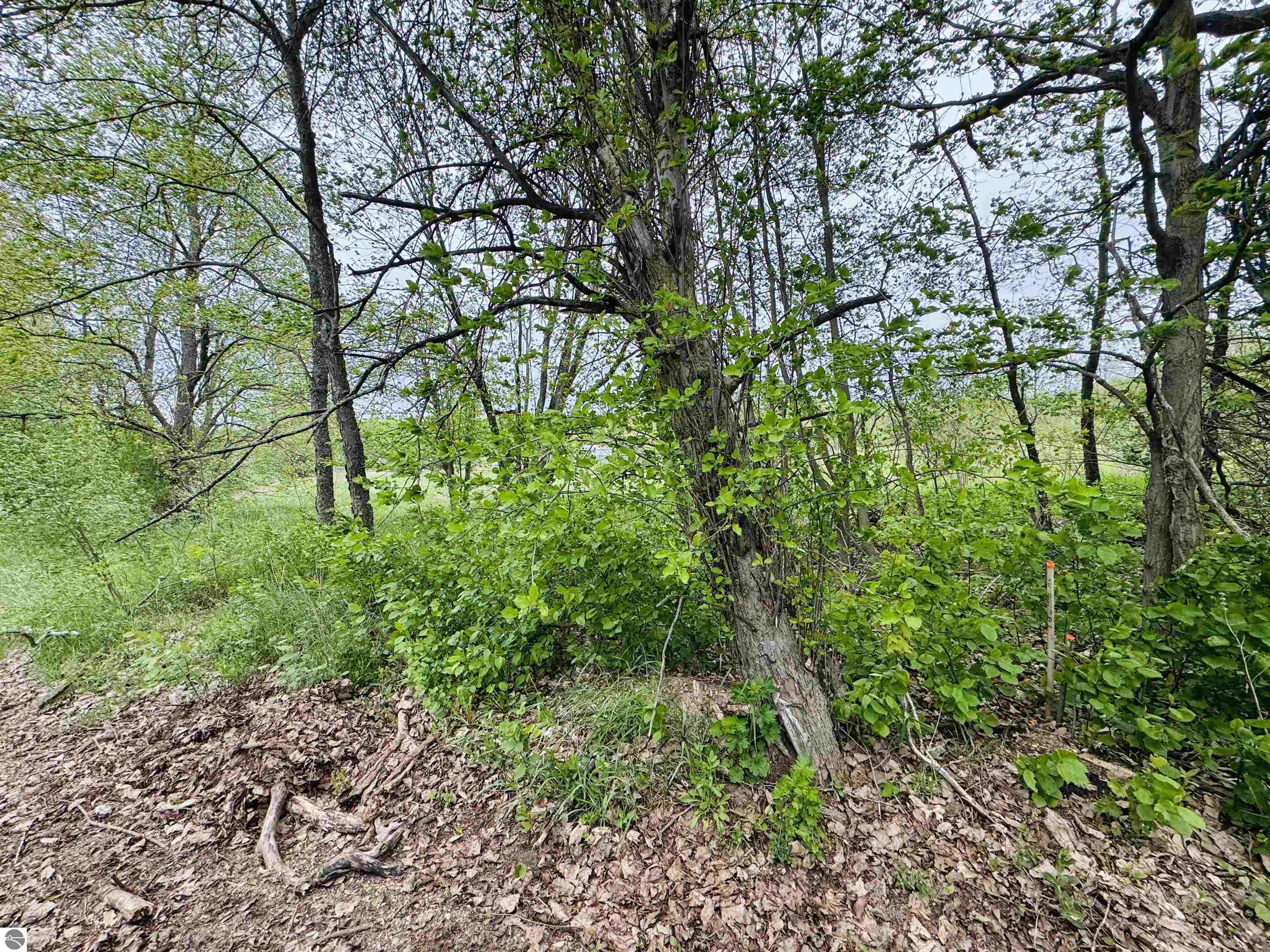 Packingham Road Manton, MI 49663 - Photo 6 of 25