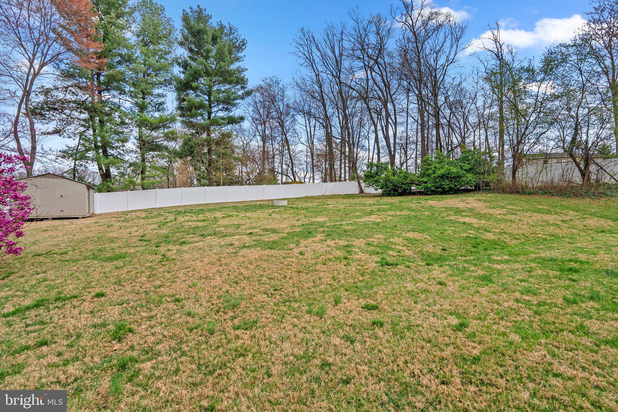 9828 Moyer Road Damascus, MD 20872 - Photo 44 of 46 a view of a yard with trees