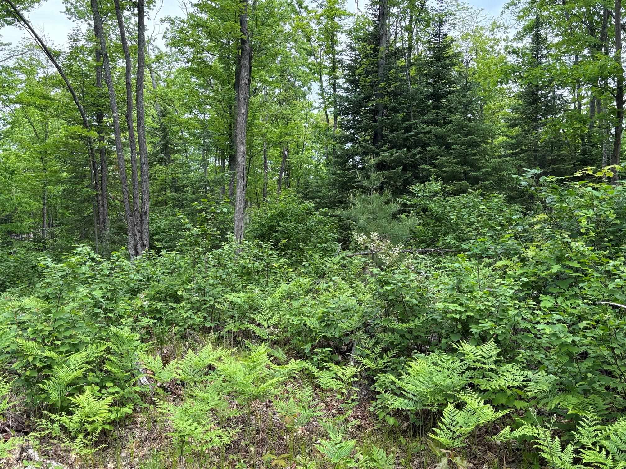 W15816 Fawn Acres Road Fence, WI 54120 - Photo 6 of 14