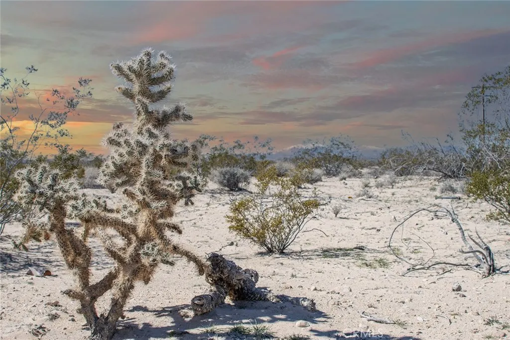 0 Winters Road Joshua Tree, CA 92252 - Photo 17 of 17 a view of a dry yard with wooden fence
